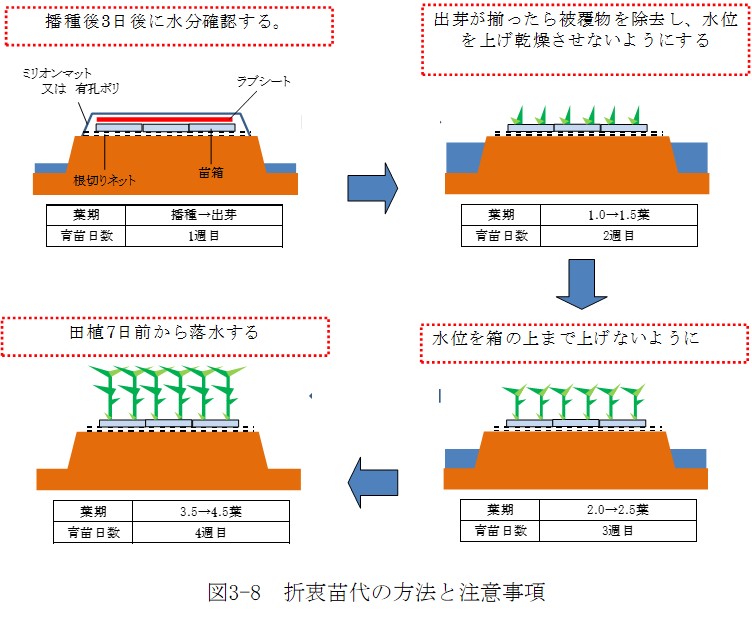 Kihon 3 機械除草技術を中心とした水稲有機栽培技術マニュアル Ver 最終更新日 年10月