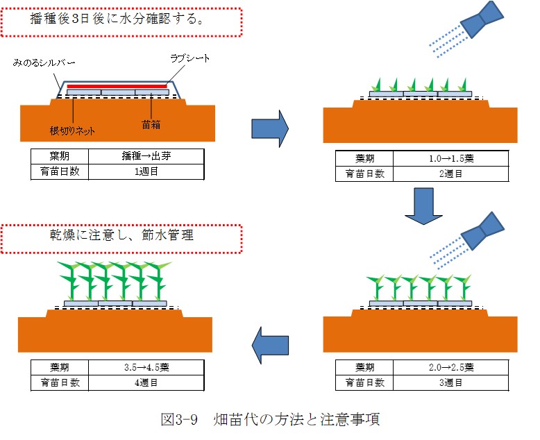 Kihon 3 機械除草技術を中心とした水稲有機栽培技術マニュアル Ver 21 最終更新日 21年7月