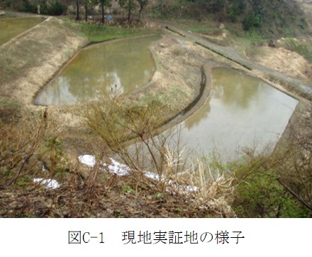 図C-1.jpg