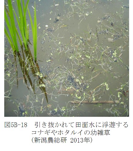 図5-16.jpg