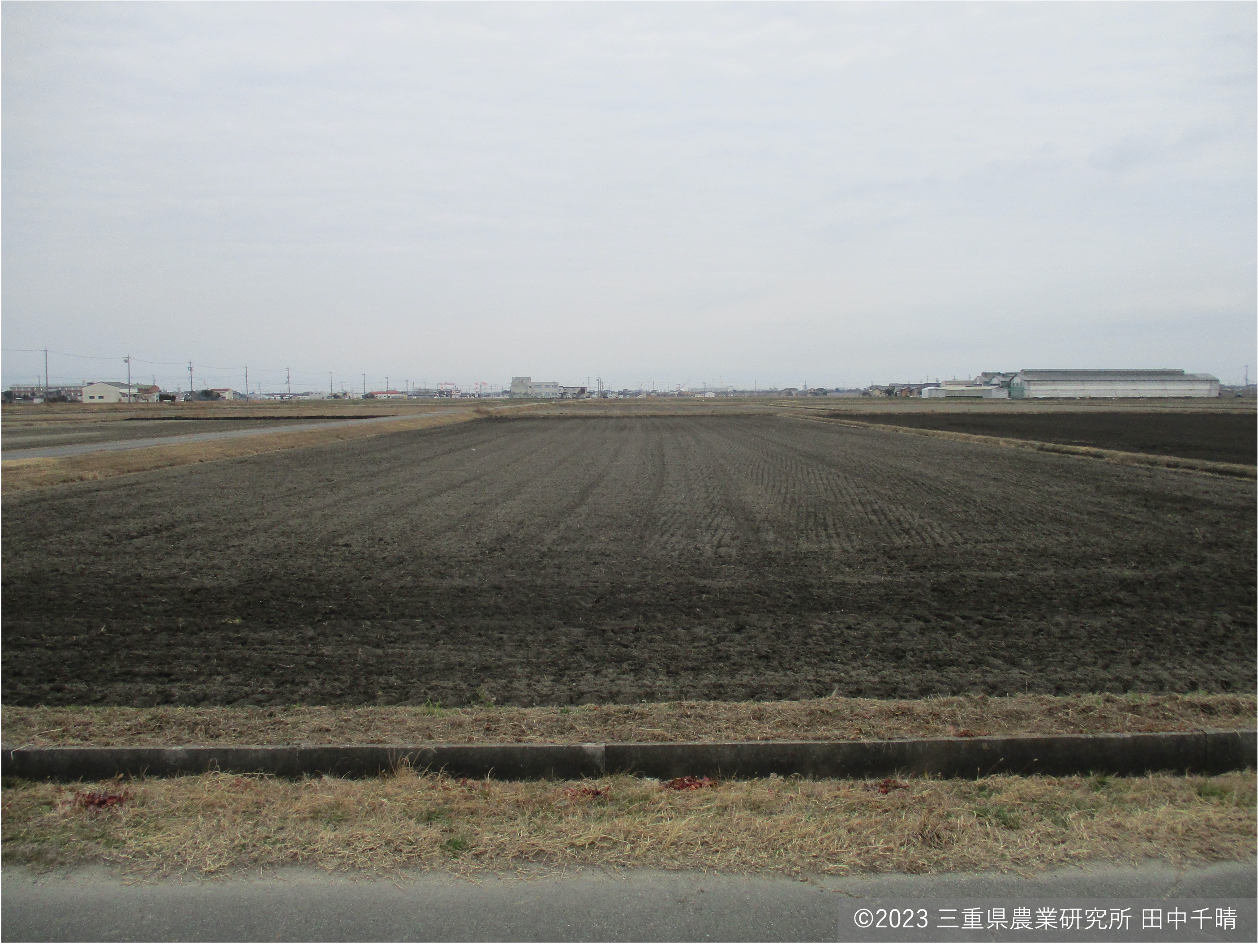 均平化された圃場.jpg