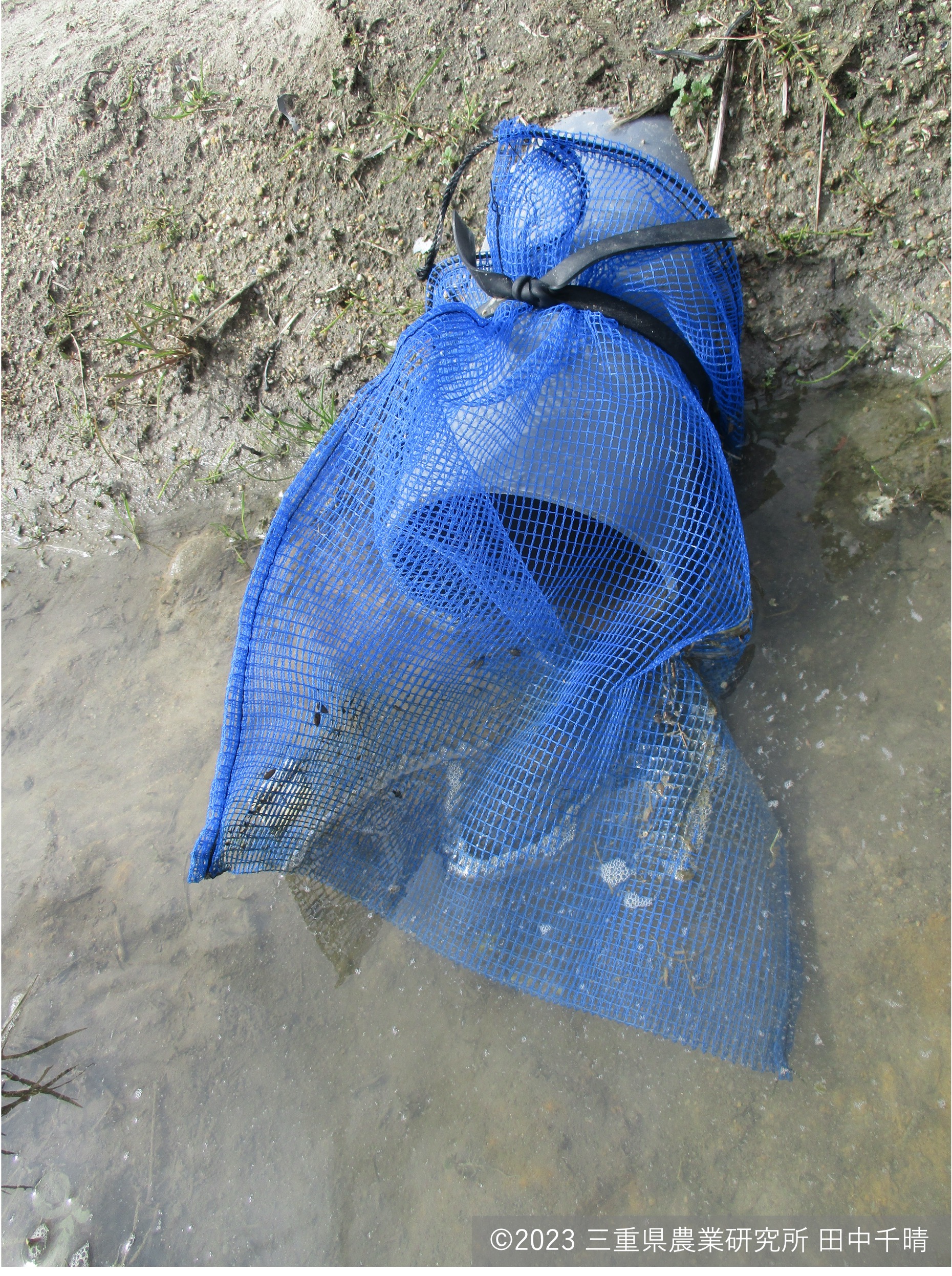 水口ネット1.jpg