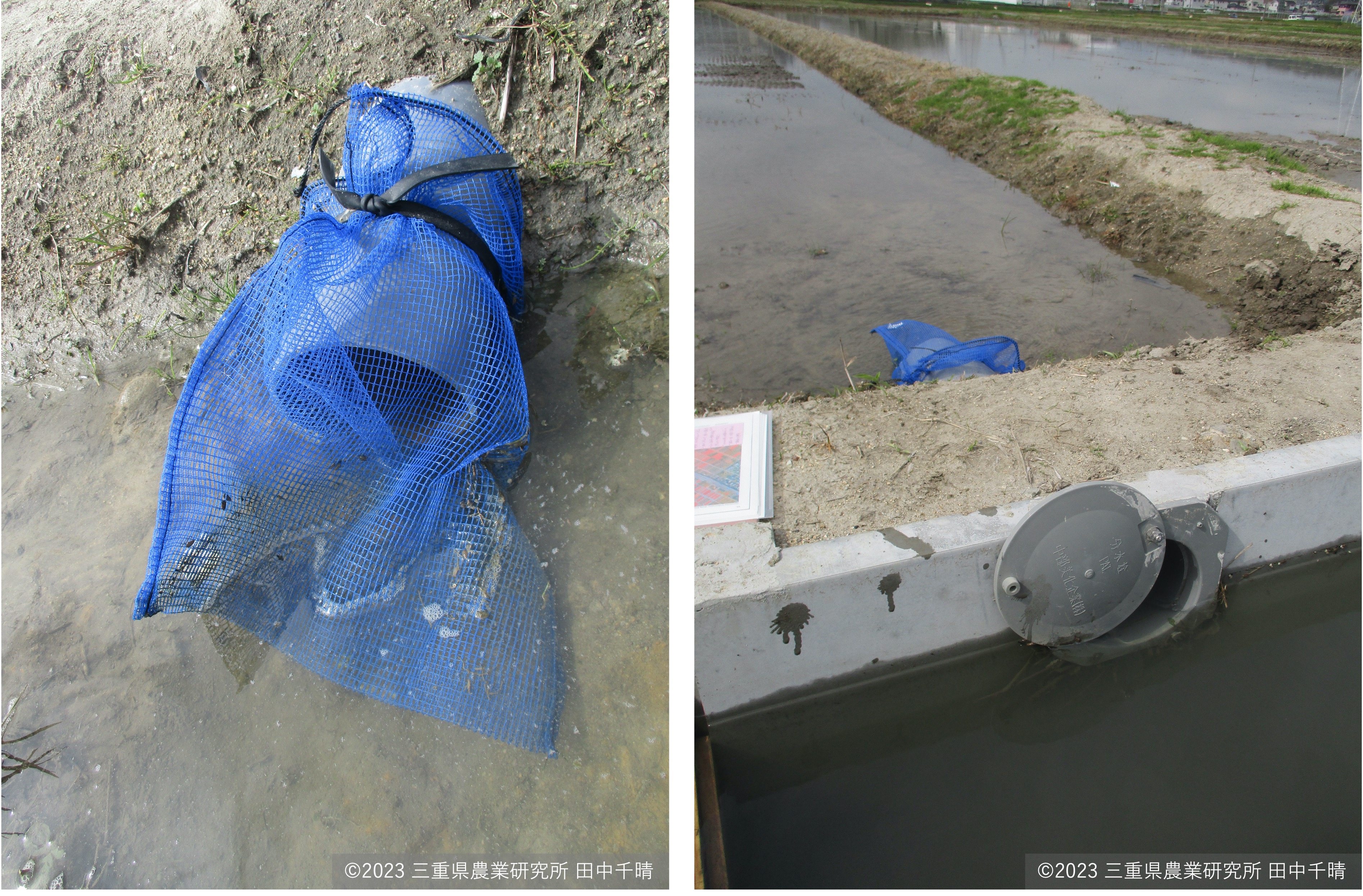 水口ネット3.jpg