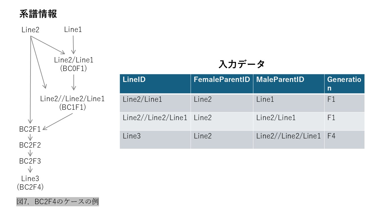 近縁係数計算プログラムの利用方法_8_1.png.jpg