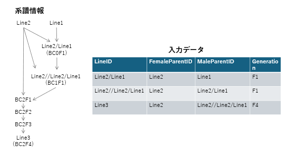 近縁係数計算プログラムの利用方法_8_1.png