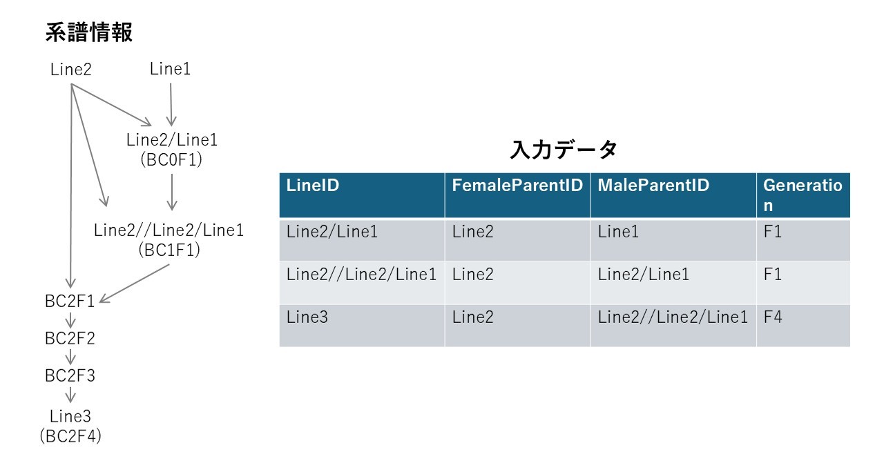 近縁係数計算プログラムの利用方法_8_1v2.png.jpg