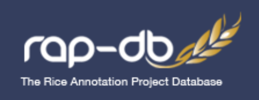 rap-db_logo.png